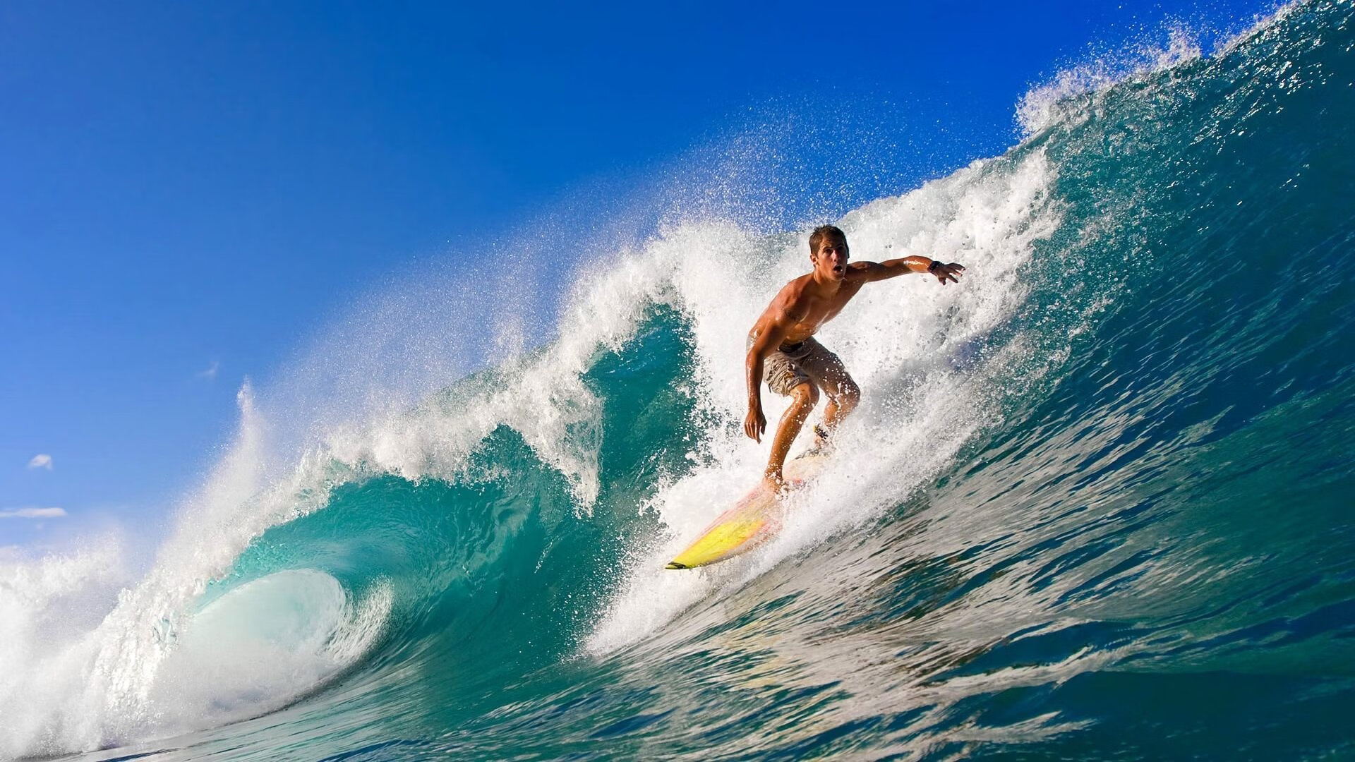 瑞典团队如何在2024年世界杯上打破桎梏,瑞典足球世界杯