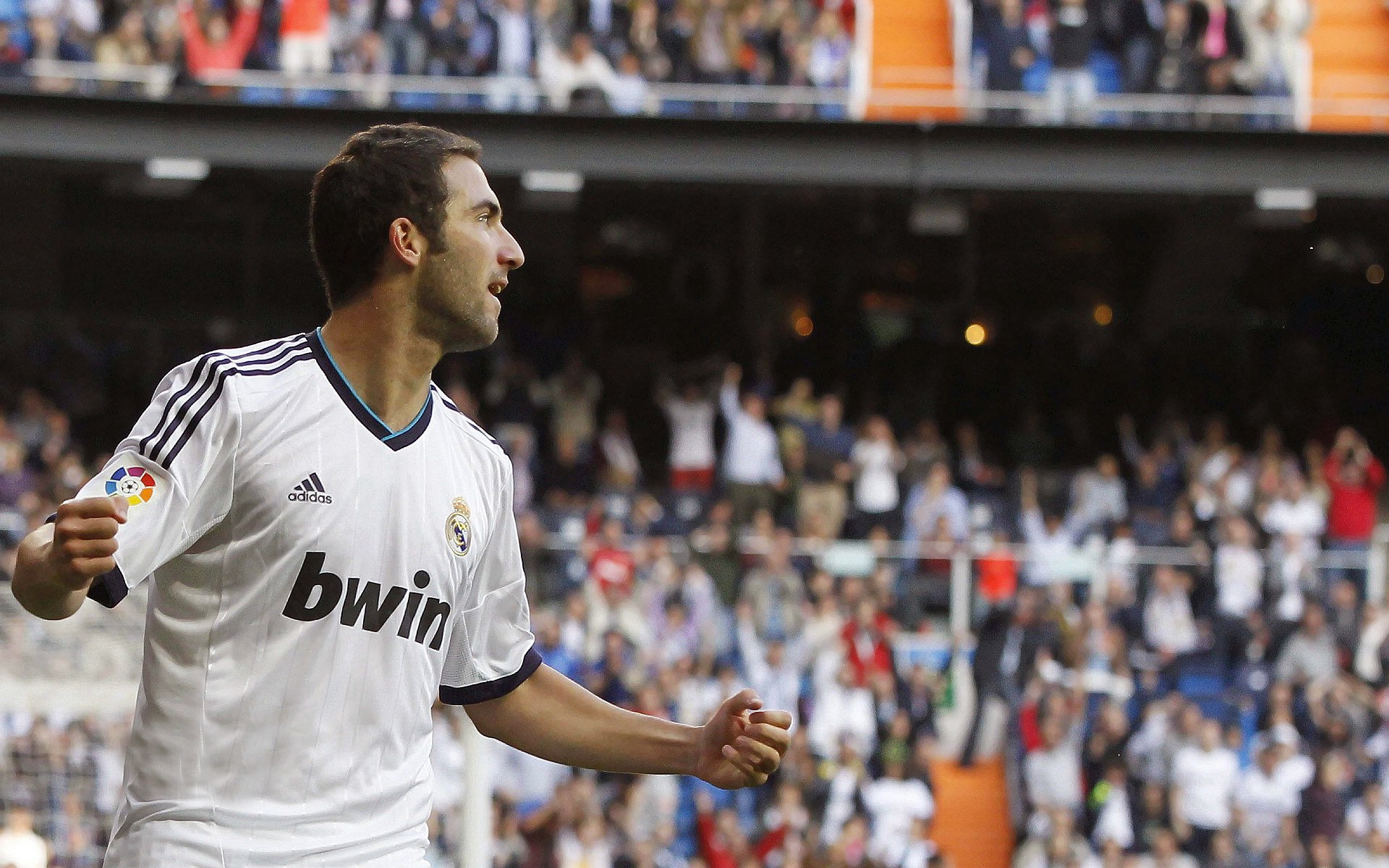 西班牙男队多项目均衡发展,西班牙男子国家队