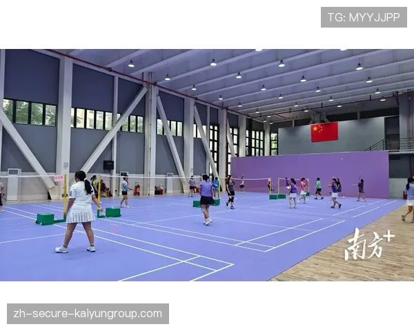 体育新闻中心服务运动项目垂类传播内容矩阵，体育垂直媒体